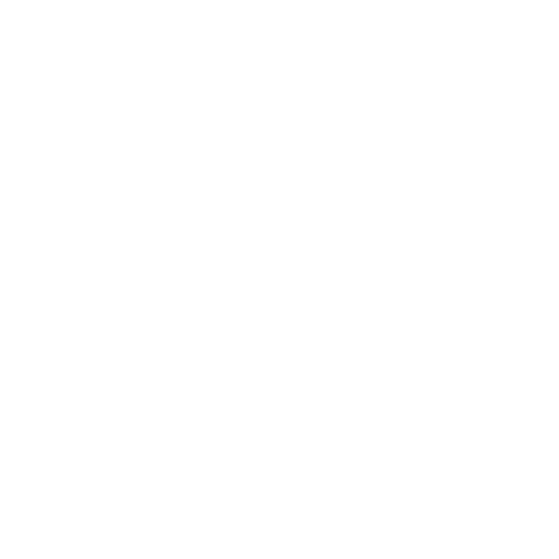 Handichiens